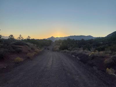 Long road ahead in Zion National Park