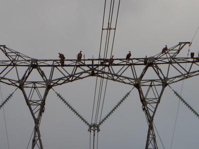 Power tower, South Africa