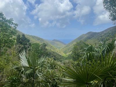 Maho bay, St John, USVI